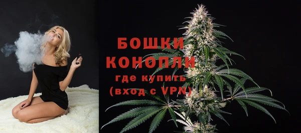 СК Аркадак