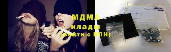 индика Магас
