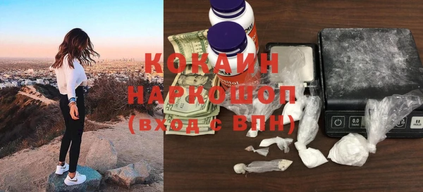 индика Магас