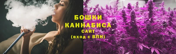 индика Магас