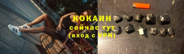 индика Магас