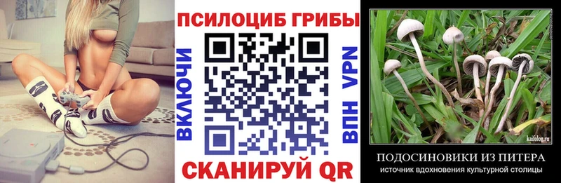 Галлюциногенные грибы GOLDEN TEACHER  Чекалин 